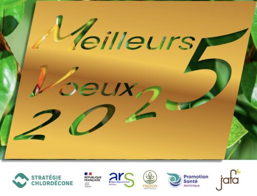 « Meilleurs Voeux pour 2025 »